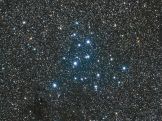 M39-20160730.jpg