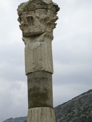 Wobbly Column
But it's still standing.
Keywords: Column;Ephesus;Turkey;Turkey March 2006