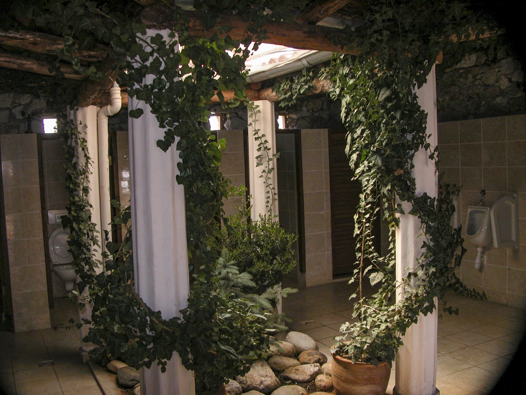 Men's Room 
I thought the rest rooms at Aphrodisias deserved special mention because so much attention and care had been lavished on making them unusually spiffy and green.
Keywords: Aphrodisias