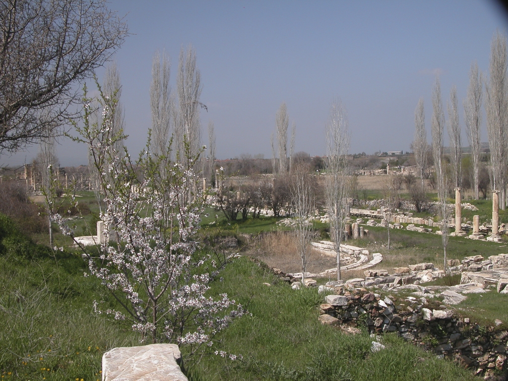 Spring Blooms
Aphrodisias is pleasantly situated amidst groves of trees and flowering bushes.
Keywords: Aphrodisias