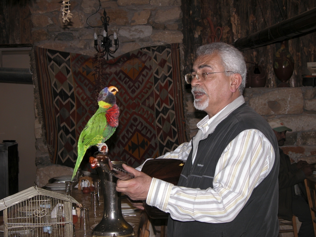 Entertainment at the Anatolia Restaurant
A song and guitar duet by proprietor and parrot.
Keywords: Aphrodisias
