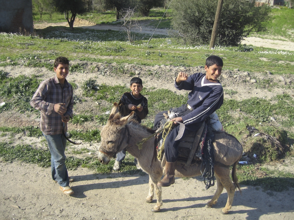 Encounters on the Road
Turkish kids and a donkey. Somewhere between Aphrodisias and Pamukkale.
