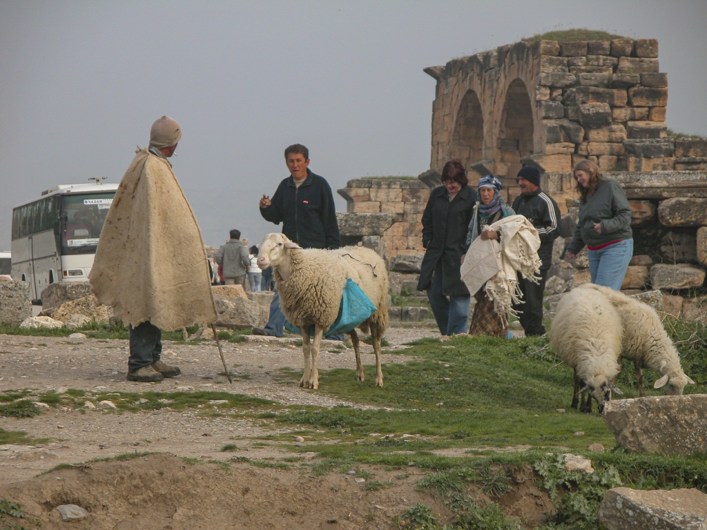 Sheep, Locals and Tourists
Cherie and Sandie hang out with the locals and their ewes.
