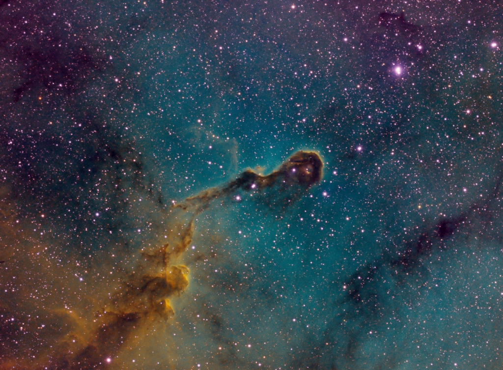 IC1396A - Elephant Trunk Nebula 
A narrowband (Hubble Palette) image of a dense cloud of gas and dust within a much larger region of ionized gas designated IC1396, illuminated and ionized by the massive bright star HD206267 at the upper right corner of the frame.  I don't find that the shape of the nebula resembles an elephant's trunk, but rather, as Michelle Evans has suggested, a dragon named Verminthrax Pejorative from the movie Dragonslayer. 
