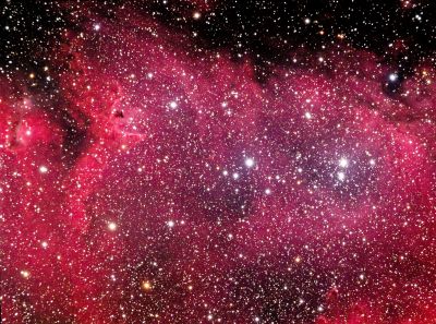 IC 1848 - The Soul Nebula
An emission nebula in Cassiopeia, eastern neighbor of the Heart Nebula, IC 1805. About 6,500 light-years away, it spans 100 light-years, and is too big at that distance to fit into my telescope's field of view, so only part of it is seen here.
