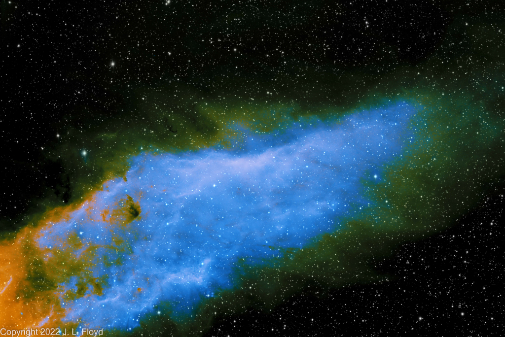 NGC1499 - The California Nebula, narrowband version
This bizarre rendition of the California Nebula was the result of an unrepeatable experiment in mapping H-alpha and O-III to various channels in a mad orgy of improvisation.  
