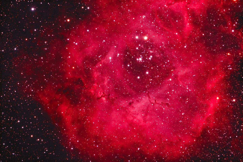 NGC2237 - The Rosette Nebula
Emission Nebula / HII region in Monoceros, with open cluster NGC 2244 in center of nebula.   

