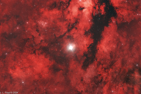 IC1318_20240704_RASA11_ASI2600_NBZ2.JPG