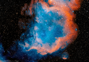 NGC1848-20221028-RRGB3.jpg