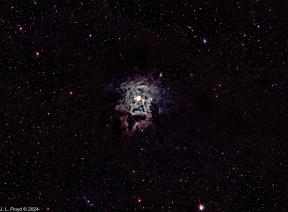 NGC7023_20240706_RASA11_NBZ2.JPG