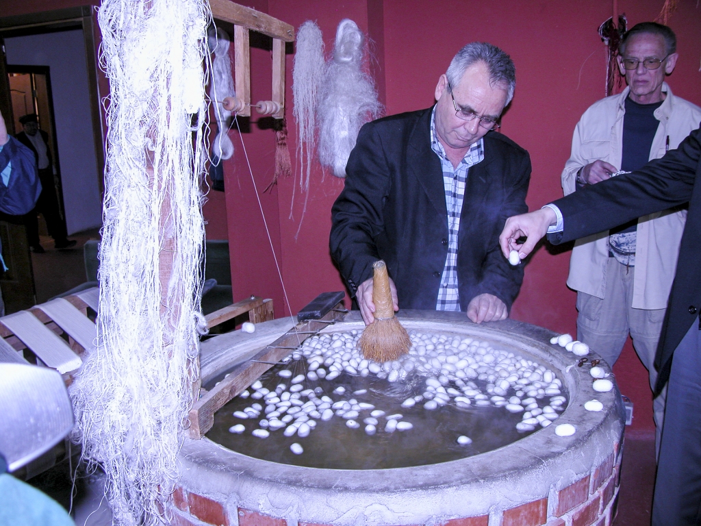 Boiled Alive
The silkworm cocoons have to be dissolved in boiling water before the silk threads can be extracted.  The silkworms are thus boiled alive inside their cocoons - 6,600 silkworms have to die for every kilogram of silk produced.  The PETA folks are not happy about it.
