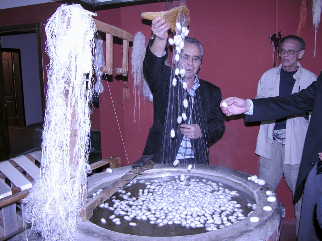 Extracting the silk threads
The silk maestro demonstrates how the dissolving cocoons yield their threads.
