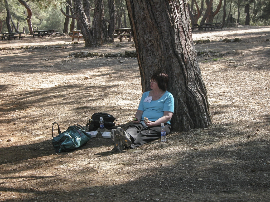 Taking it Easy
Sandie found a spot where she could cat-nap after finishing her lunch.
