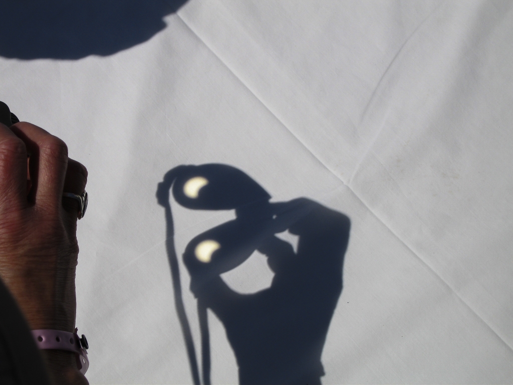 Shadows on the Sheet
The image of the partially-eclipsed sun is projected through Sandie's binoculars onto the sheet spread on the ground.
