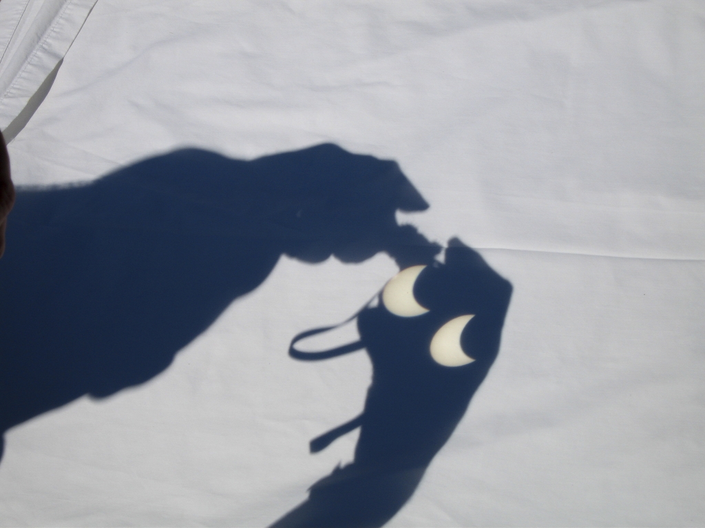 Chasing Shadows
The Moon is making progress in its task of covering up the Sun, which is now about 35% obscured.

