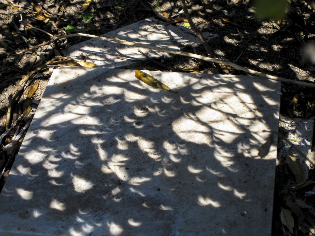 You, Andrew Marvell
And strange at Ecbatan the trees
Take leaf by leaf the evening strange...

