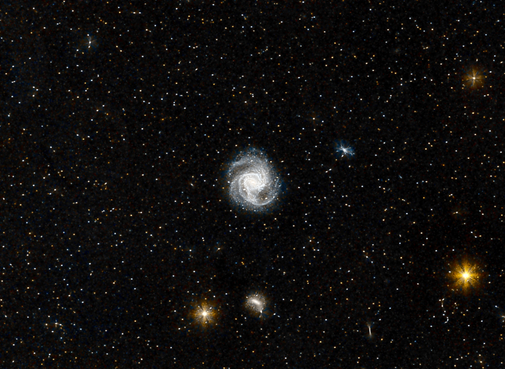 Messier 61 - Face-on Barred Spiral Galaxy in Virgo
One of the largest members of the Virgo Cluster, M61 is a starburst galaxy, i.e. it has an unusually high rate of star formation, with an active galactic nucleus that features a massive nuclear star cluster and a supermassive black hole.  It is about 53 million light-years away from Earth.
