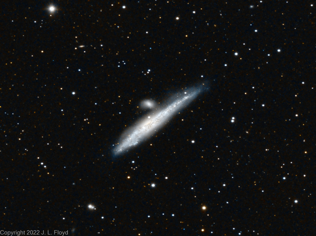 NGC 4631, The Whale Galaxy
A barred spiral galaxy in the constellation Canes Venatici.  Contains a central starburst - a region of intense star formation.  The "calf" - the nearby dwarf galaxy - is NGC 4527.

