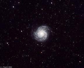 M74_20241122_RASA11_ASI2600MC_OLQ2.JPG