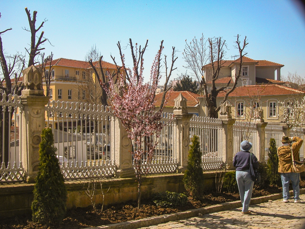 Istanbul Spring
Spring flowers were beginning to bloom as we trekked through the residential areas near the palace.
