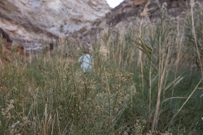 DV-20191025-8906.jpg