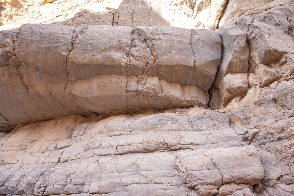 Canyon Walls
All through the Narrows we are only inches from the walls on either side.

