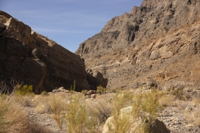 DV-20191024-8823.jpg