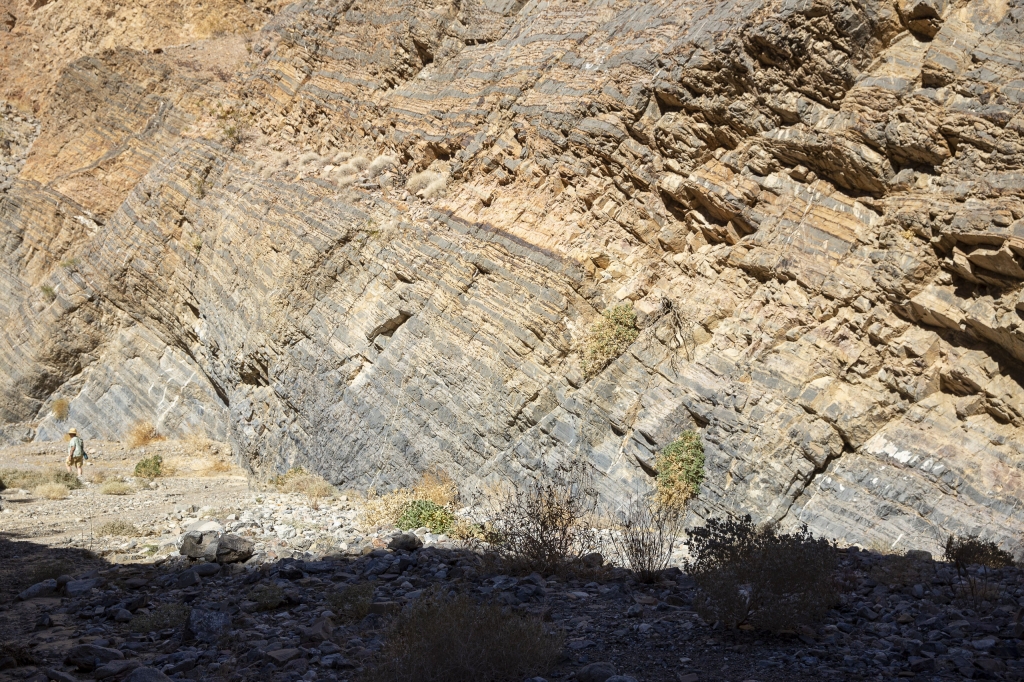 Staggering Stonewalls
The walls of the canyon reel like some crazy collapsed building.
