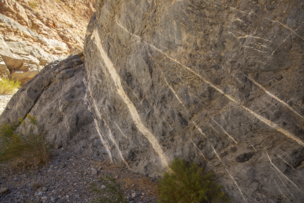 Striations
Looks as if some vandal showed up with a brush and a can of white paint, but these are actually natural features in the rock.
