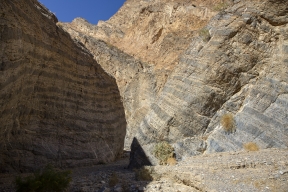 DV-20191025-8867.jpg