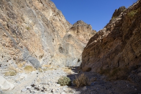 DV-20191025-8869.jpg