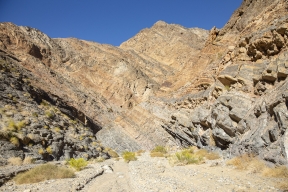 DV-20191025-8872.jpg