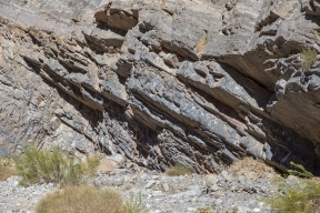 DV-20191025-8873.jpg