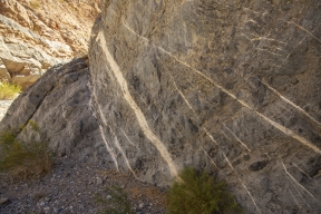 DV-20191025-8876.jpg