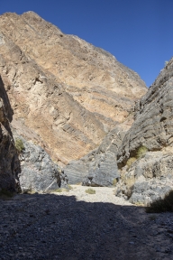 DV-20191025-8877.jpg