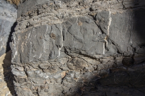 DV-20191025-8879.jpg