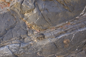 DV-20191025-8880.jpg