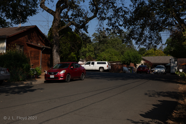 Lief and Janeta's Neighborhood
Toyon Street, Angwin, CA
