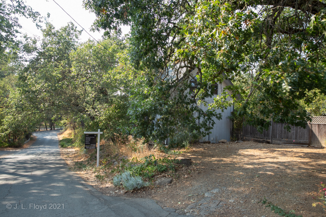 Lief and Janeta's Neighborhood
Toyon Street, Angwin, CA, looking west fom Lief's house
