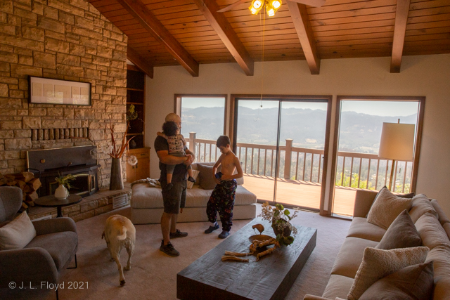 Denizens of the Den
Leila, Lief, Jensen and Liam frolic in the main den of the Crestmont house
