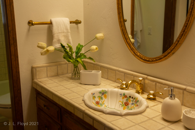 Hall Bathroom Wash Stand
This first-floor bathroom sports a colorful floral sink.
