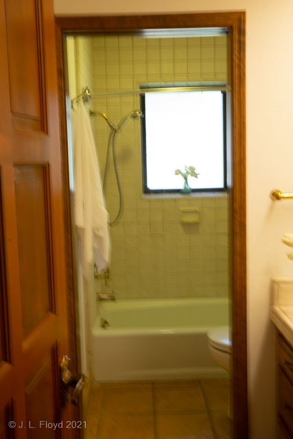 Hall Bathroom Tub and Shower
The first-floor bathroom of the Crestmont house is off the main hall.
