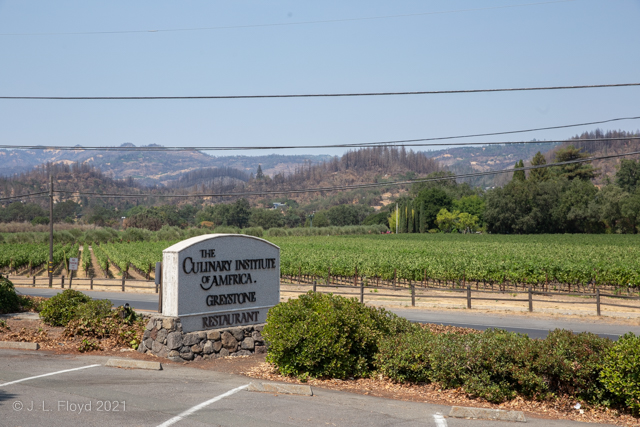 Napa Valley and Highway 128 from CIA
A view of part of the Napa Valley from the CIA parking lot, looking toward Angwin
