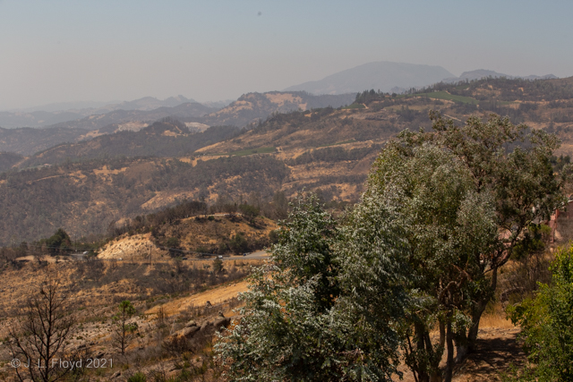Napa Valley - Burnout
View of fire-devastated area on mountain downhill Crestmont House.  The fire came very close to the house.
