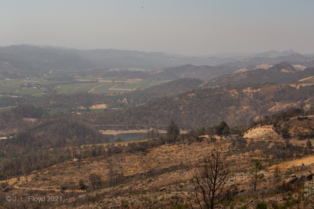 Napa Valley - Burnout
View of Napa Valley, including fire-devastated area downhill from Crestmont House.
