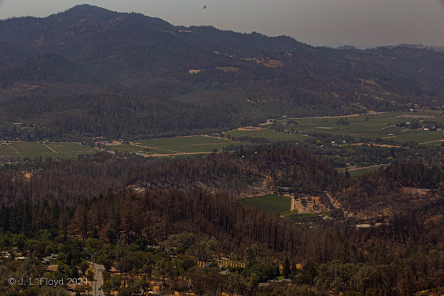 Napa Valley from Crestmont Drive
Telephoto view, looking WNW.
