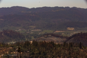 NapaValley-9865.jpg