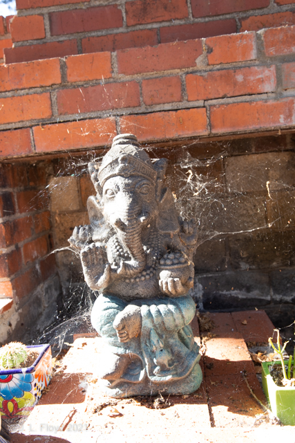 Backyard Ganesha
Ganesha, the elephant-headed Hindu god of beginnings, who is traditionally worshipped before any major enterprise and is the patron of intellectuals, bankers, scribes, and authors.
