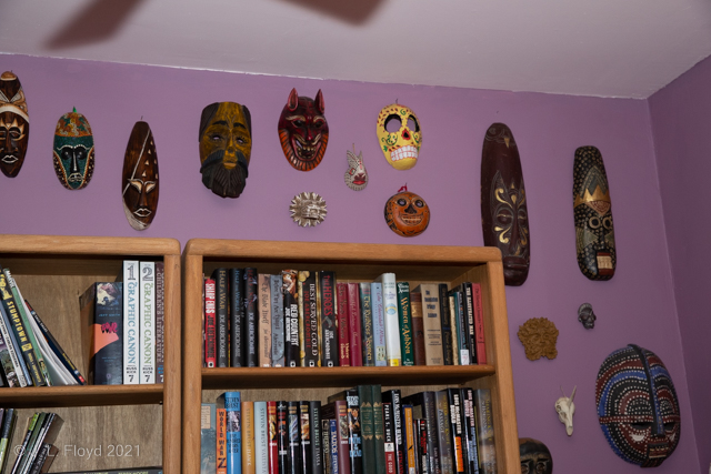 A Cornucopia of Concealment
A mind-boggling assortment of masks.  And books.
