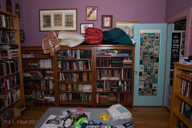 Versatility, thy name is library
I think the library also serves as a guest bedroom.  And sometimes the cats sneak in too.
